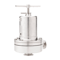 Mark 95 Series Sanitary Back Pressure Regulator
